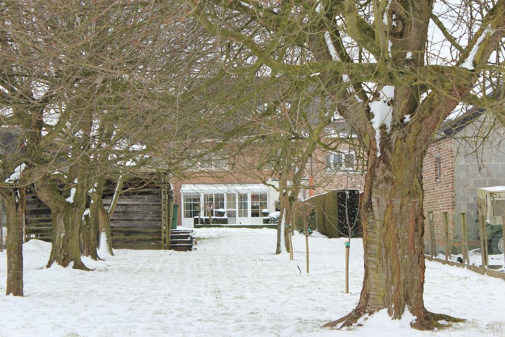 B&B Den Boomgaard Moorsel Zewnętrze zdjęcie